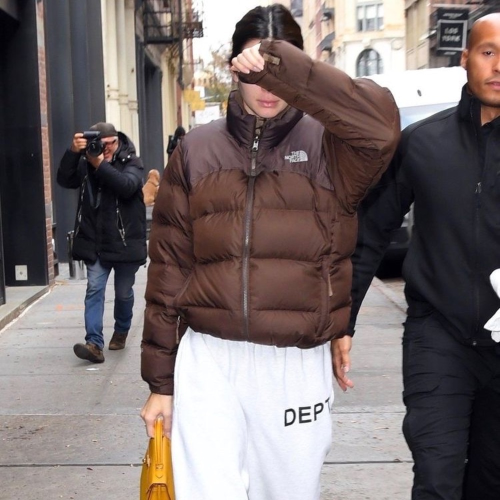 NWT The North Face 600 Brown Puffer